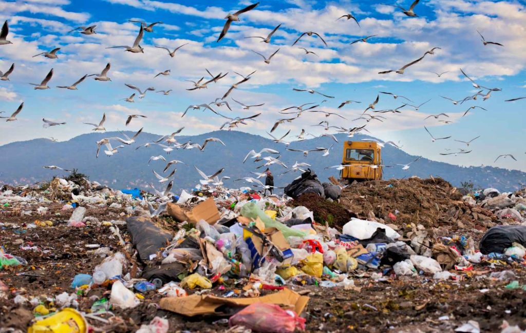 Landfill Site