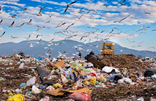 Landfill Site2