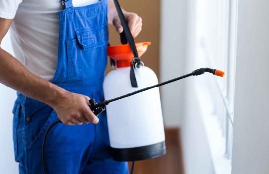 הדברה והרחקת מזיקים2